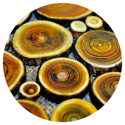 Cade (Juniperus oxycedrus) Essential Oil