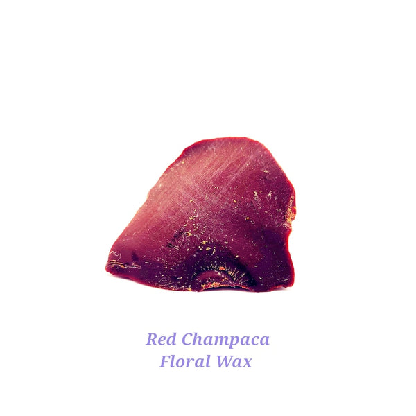 Red Champaca Floral Wax