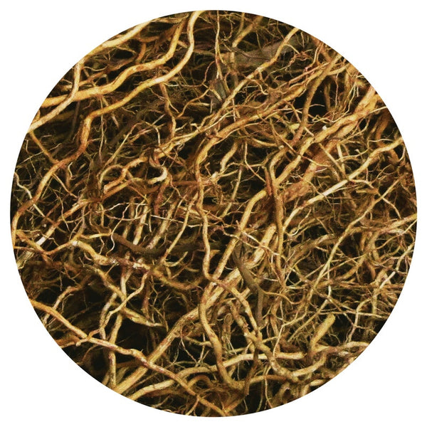 Vetiver, Bourbon (Vetiveria zizanioides) Essential Oil