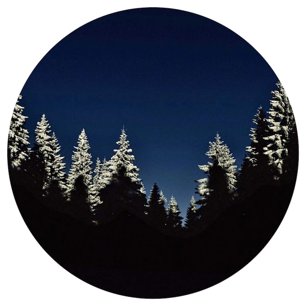 Fir Needle, Siberian (Abies sibirica) Wildcrafted Essential Oil