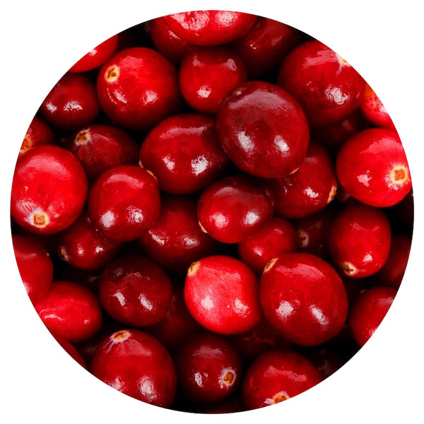 Cranberry Seed Oil (Vaccinium macrocarpon) Organic Cold Pressed