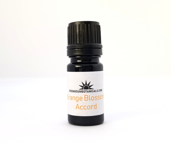 Orange Blossom Accord