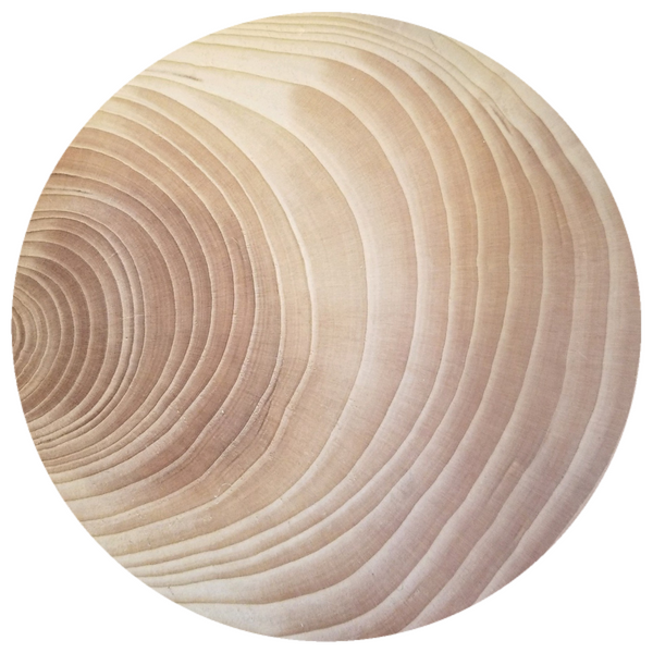 Cedarwood, Port Orford (Chamaecyparis lawsoniana) Essential Oil