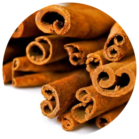 Cinnamon (Cinnamomum burmannii) Organic CO2 Extract