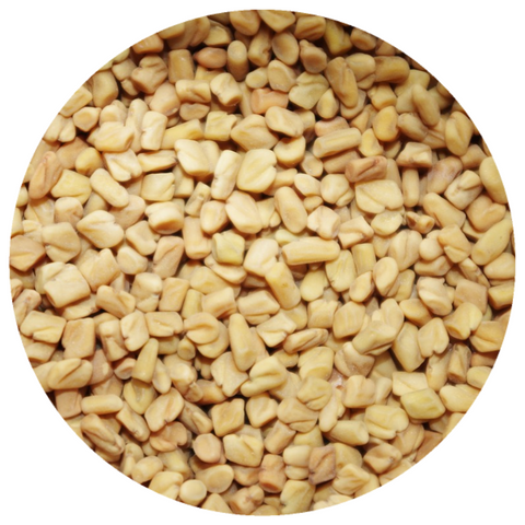 Fenugreek Seed (Trigonella foenumgraecum) Organic CO2 Extract