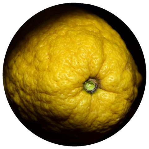 Citron (Citrus medica) Essential Oil