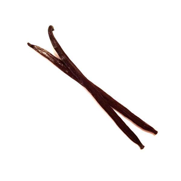 Madagascar Vanilla Bean Infusion Jojoba Oil