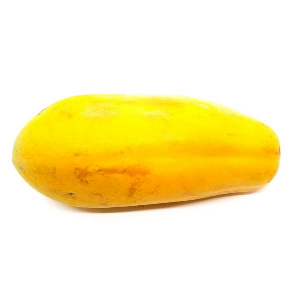 Papaya Seed Oil (Carica papaya)