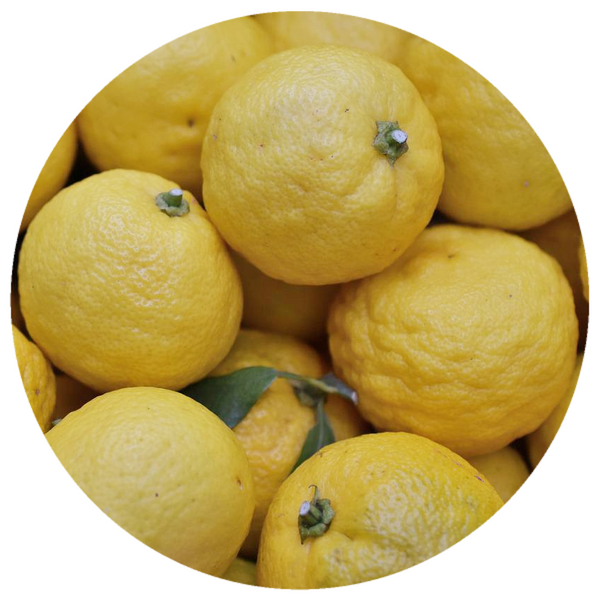 Ogontoh Yuzu Citrus Flavored Ramune with Vitamin C (黄金糖 ゆずラムネ 30g)