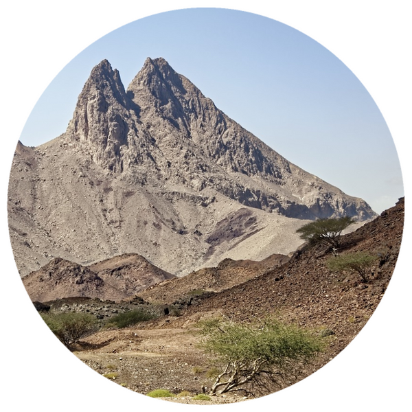 Frankincense, Royal Hojari (Boswellia sacra) Essential Oil