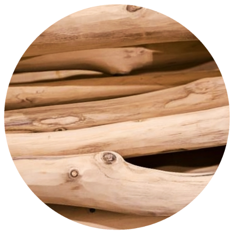 Sandalwood (Santalum album) Organic Essential Oil