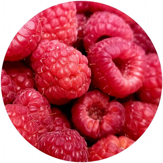 Red Raspberry Seed Oil (Rubus idaeus) Organic CO2 Extract