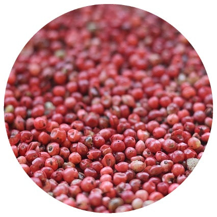 Pink Peppercorn (Schinus terebinthifolius) Organic CO2 Extract