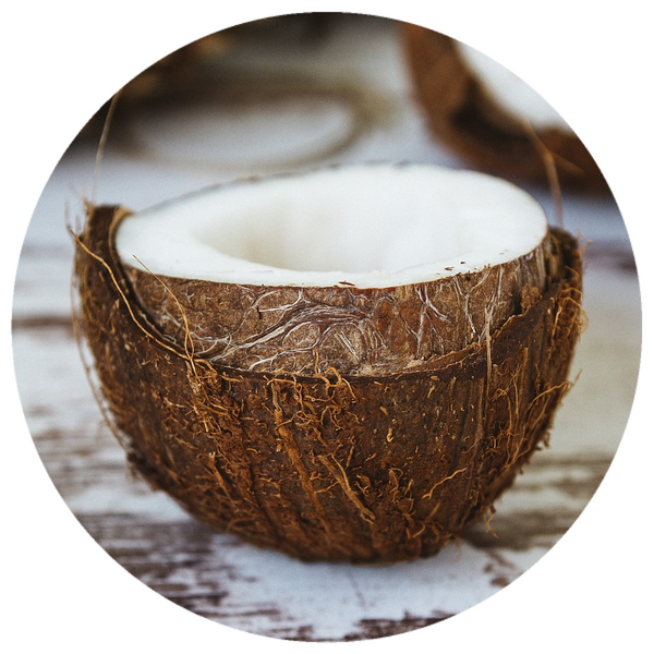 Coconut, Toasted (Cocos nucifera) Organic CO2 Extract