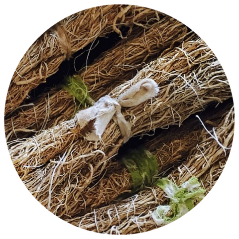 Vetiver (Vetiveria zizanioides) Absolute