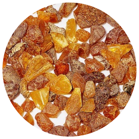 Frankincense (Boswellia serrata) Essential Oil