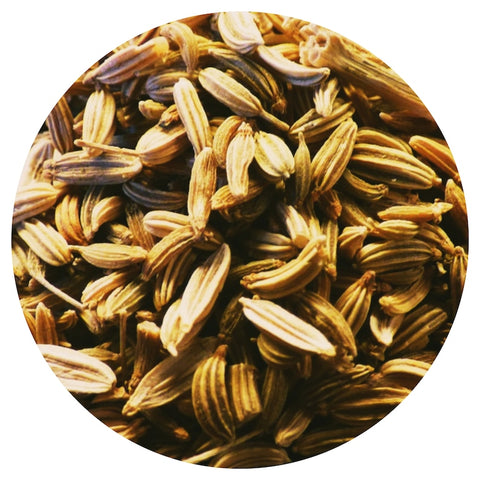 Bitter Fennel Seed (Foeniculum vulgare) Organic Essential Oil