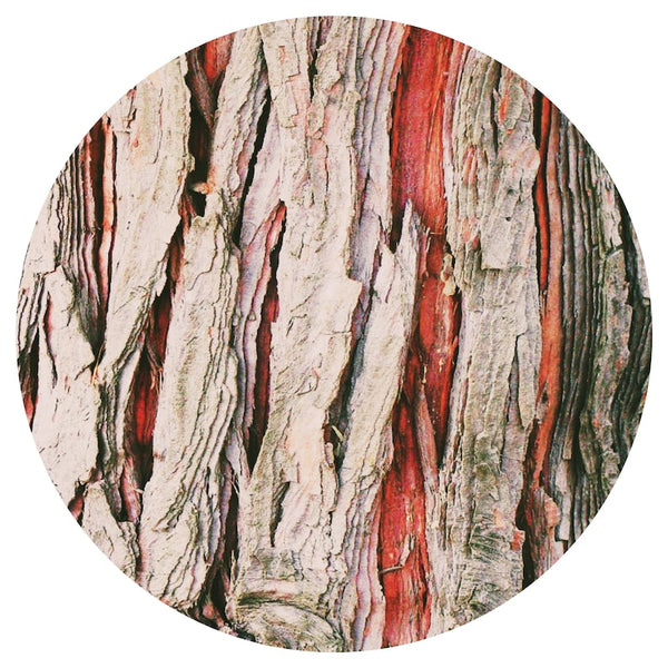Cedarwood, Blood (Juniperus virginiana) Essential Oil