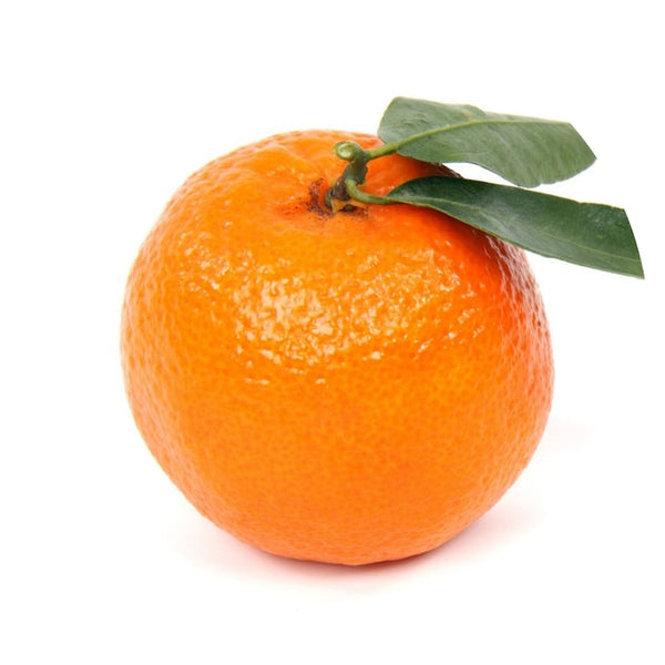 Mandarin, Red (Citrus reticulata) FCF Organic Essential Oil