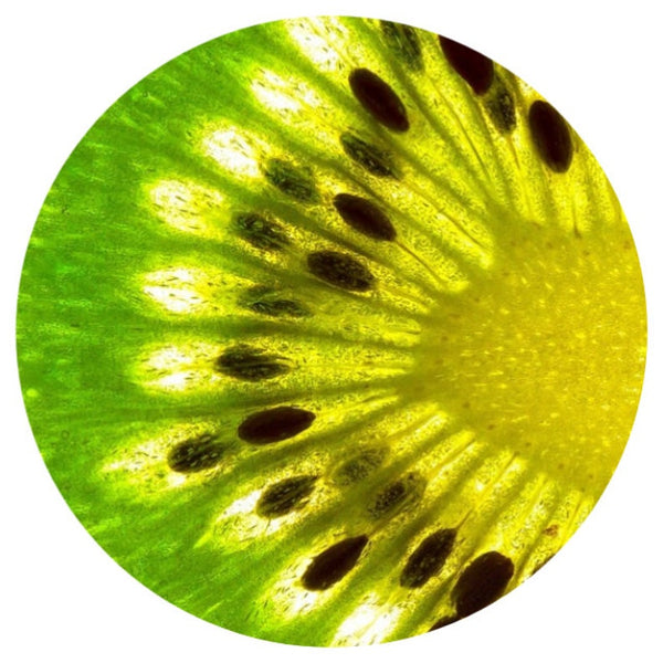Kiwi Seed (Actinidia deliciosa) Organic CO2 Extract