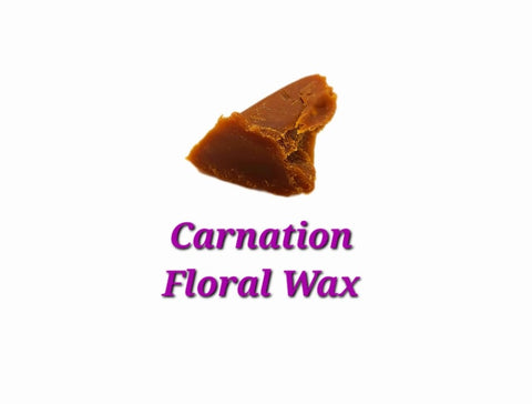 Carnation Floral Wax