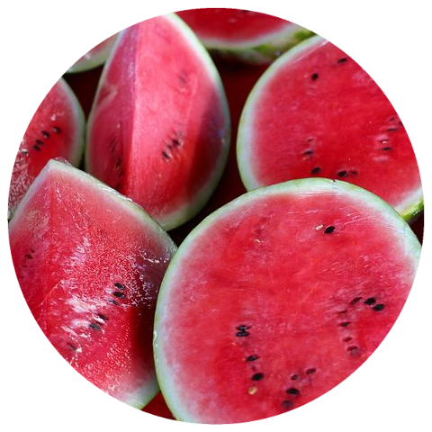 Watermelon Seed Oil (Citrullus lanatus)
