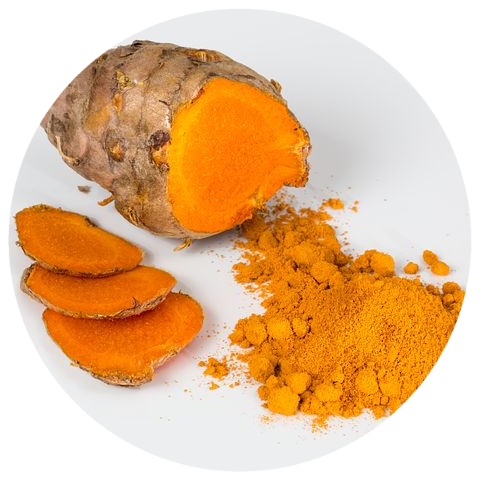 Turmeric, Orange (Curcuma longa)