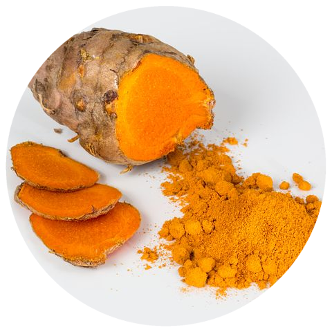 Turmeric (Curcuma longa) Organic CO2 Extract