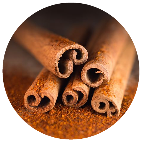Cinnamon (Cinnamomum zeylanicum) Organic CO2 Extract