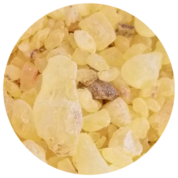 Frankincense and Myrrh Resin Infusion Oil
