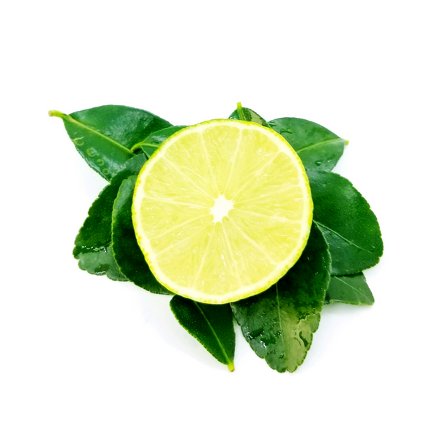 Combava Petitgrain, Makrut Lime (Citrus hystrix) Organic Essential Oil