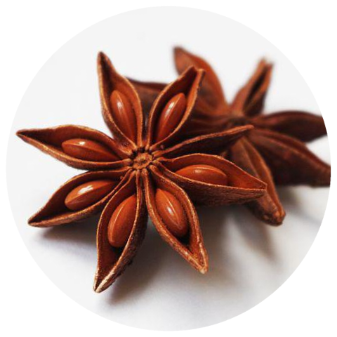 Star Anise (Illicium verum) Wildcrafted Essential Oil