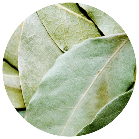 Tamala (Cinnamomum tamala ct linalool) Wildcrafted Essential Oil