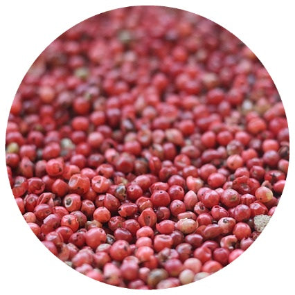 Pink Peppercorn (Schinus terebinthifolius) Organic CO2 Extract